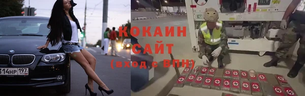 шишки Баксан
