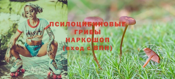 мескалин Балахна