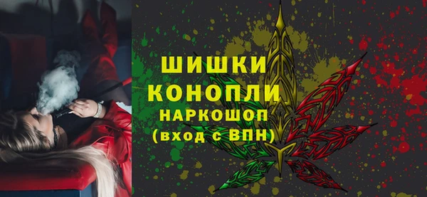 шишки Баксан