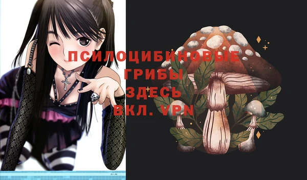 шишки Баксан