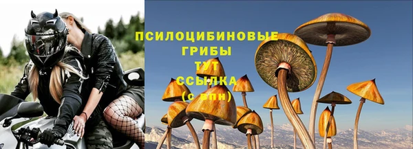 шишки Баксан