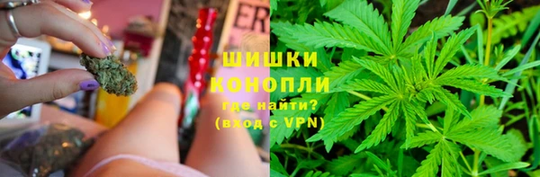 шишки Баксан